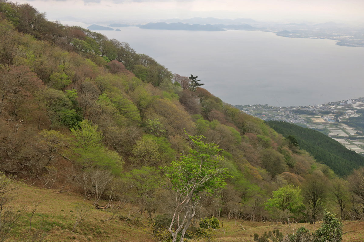 zephr2009's tweet photo. 約3か月ぶりの登山

滋賀県、権現山から蓬莱山へ向かうルートの途中まで
びわ湖を見下ろしての稜線歩き

曇り空の下��も、新緑が綺麗でした https://t.co/kWOesyxB5k