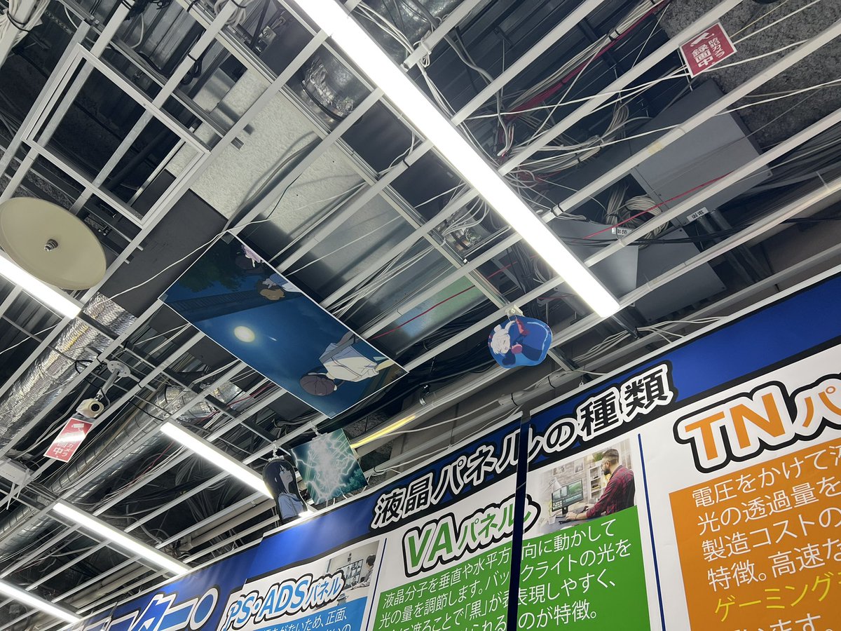 LuluNoah⚓️ tweet media