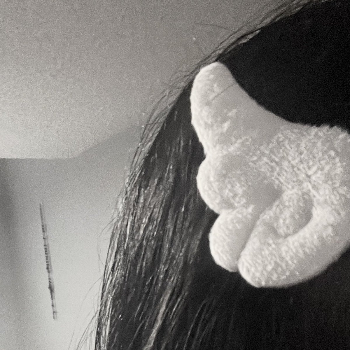 luhvrfae's tweet photo. ୨୧ introooo￤#moothunt 〃・#promotwt  ഒ·°,

- hiiiii not new to twt just looking for more moots !!
- she/her, twenty6
- mostly sao and silent hill lol :3
- others: anime, bts, dbd, overwatch, pokopia, acnh, sims4, music

#saotwt #anitwt #musictwt #dbdtwt #owtwt https://t.co/jcdAOWqdnA