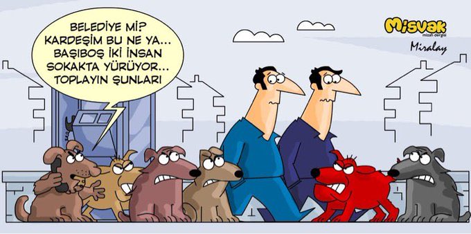 Çetin Kaya Koç tweet media