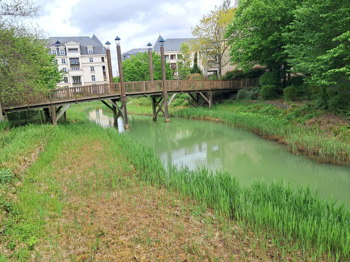 ffrandonnee92's tweet photo. ⏮️ Retour sur l'Antonienne... 🥾🥾
Le 12 avril 2026 s'est déroulé la 9ème édition de l'Antonienne avec 720 randonneurs au départ et à l'arrivée du Parc de Sceaux et ses superbes cerisiers du Japon en fleurs !! 🌸🌸 https://t.co/zy8dj84QtY