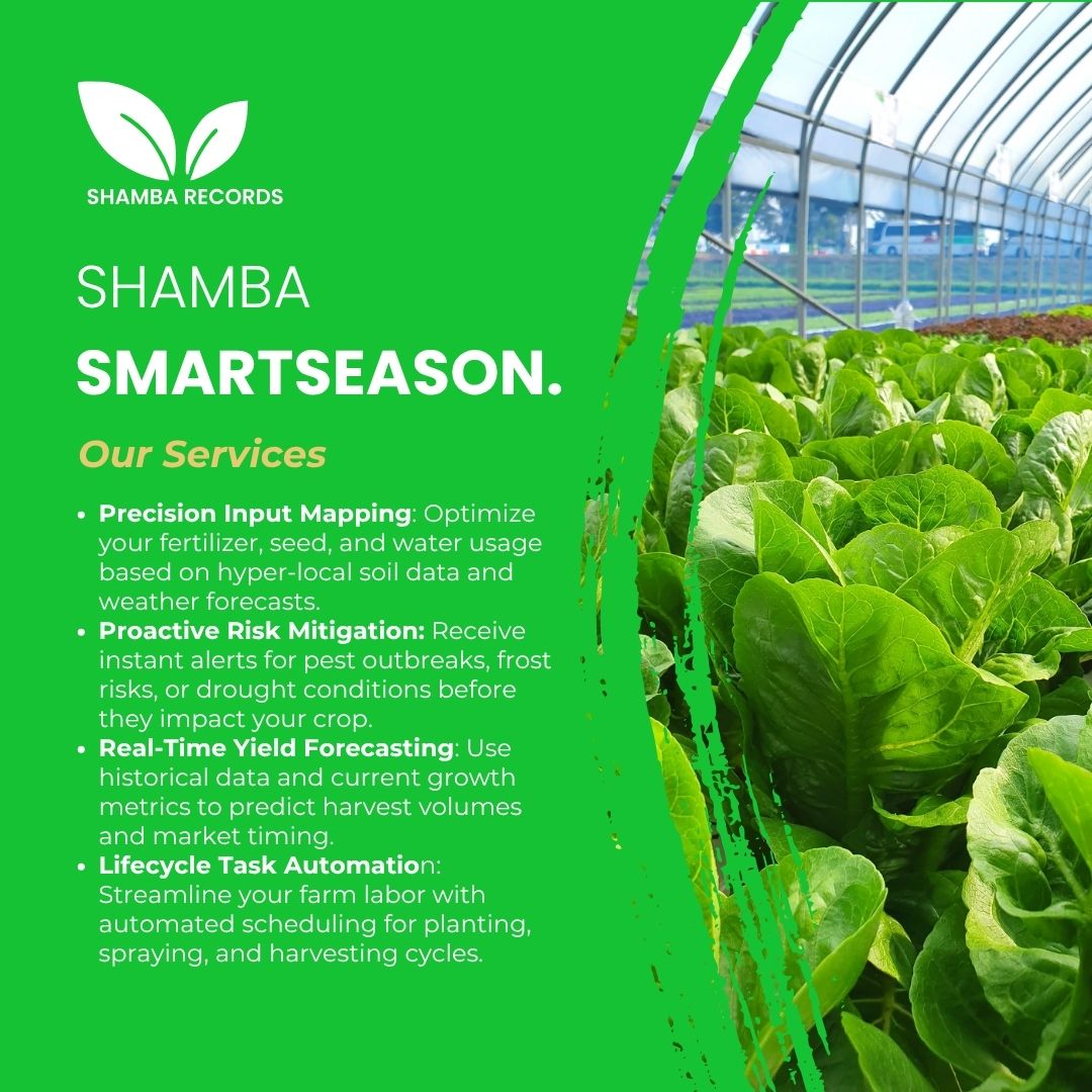 RecordsShamba's tweet image. What if your farm could think ahead?

Step into a smarter way of growing where every decision is guided, every risk is anticipated, and every harvest is maximized. The future of farming isn’t coming, it’s already here.

#SmartFarming #AgriTechAfrica #DigitalAgriculture #FarmSmart
