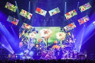 SteveIsBack2112's tweet image. In the fullness of time
“A garden to nurture and protect
It's a measure of a life
The treasure of a life
Is a measure of love and respect
The way you live, the gifts that you give
In the fullness of time
Is the only return that you expect”

#wednesdaywisdom #RushFamily #RockOn 🎈