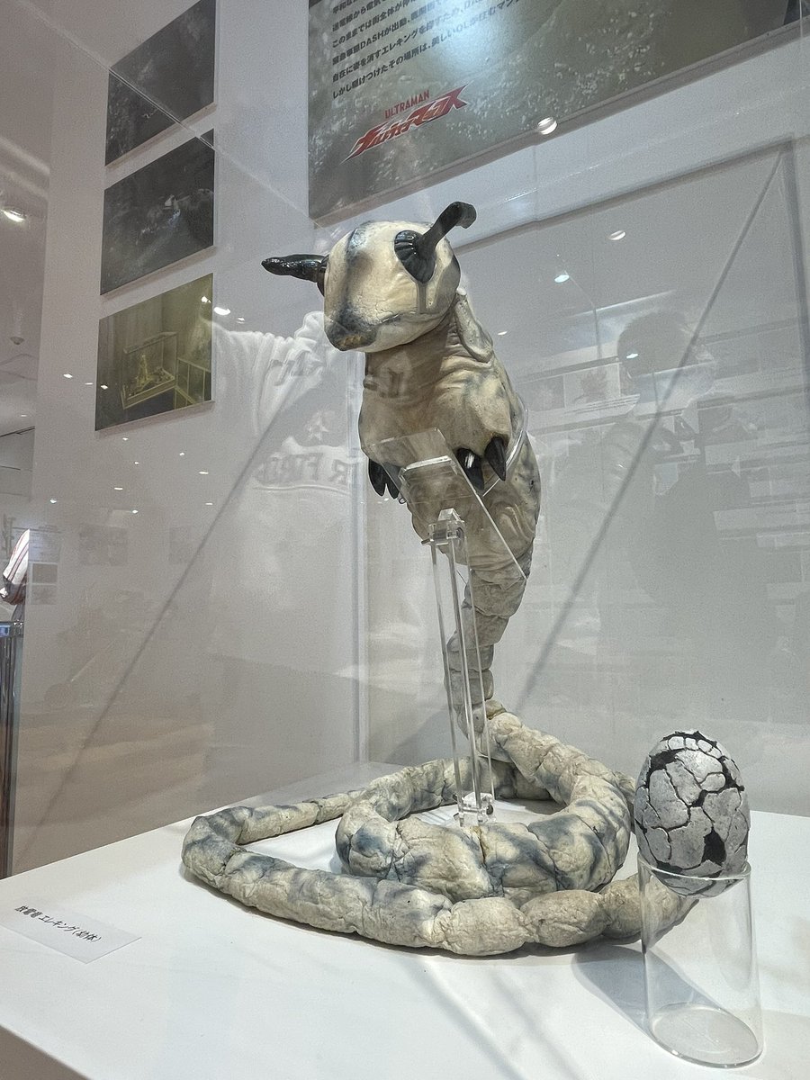 草加提督【日本サメ映画学会造型部】 tweet media