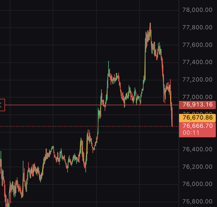 ぽむぽむぷりんてゃん tweet media