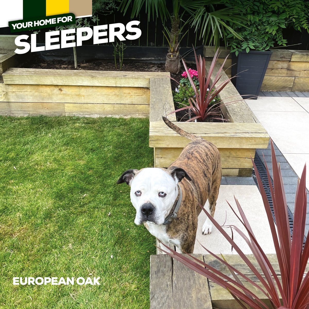 howarthtimber's tweet photo. Transform your outdoor space with garden sleepers. 

From raised beds and lawn edging to cost-effective retaining walls for sloped gardens, sleepers add structure, durability, and natural charm to any project. 

https://t.co/R9g6CLck02

#YourHomeForLandscaping #Sleepers https://t.co/B1D4DBIEf1