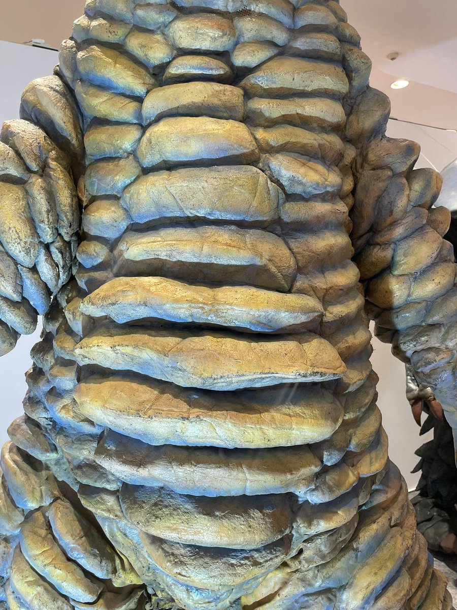 草加提督【日本サメ映画学会造型部】 tweet media