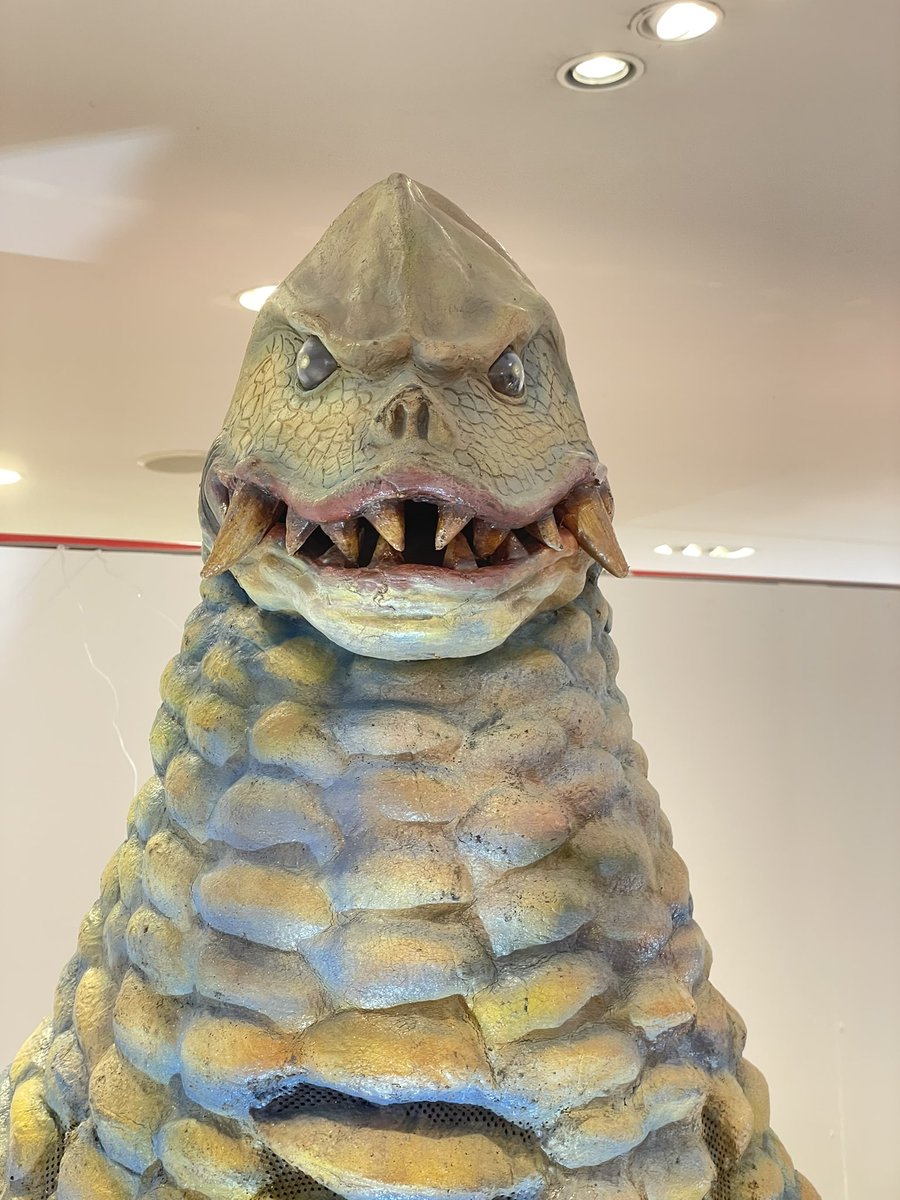 草加提督【日本サメ映画学会造型部】 tweet media