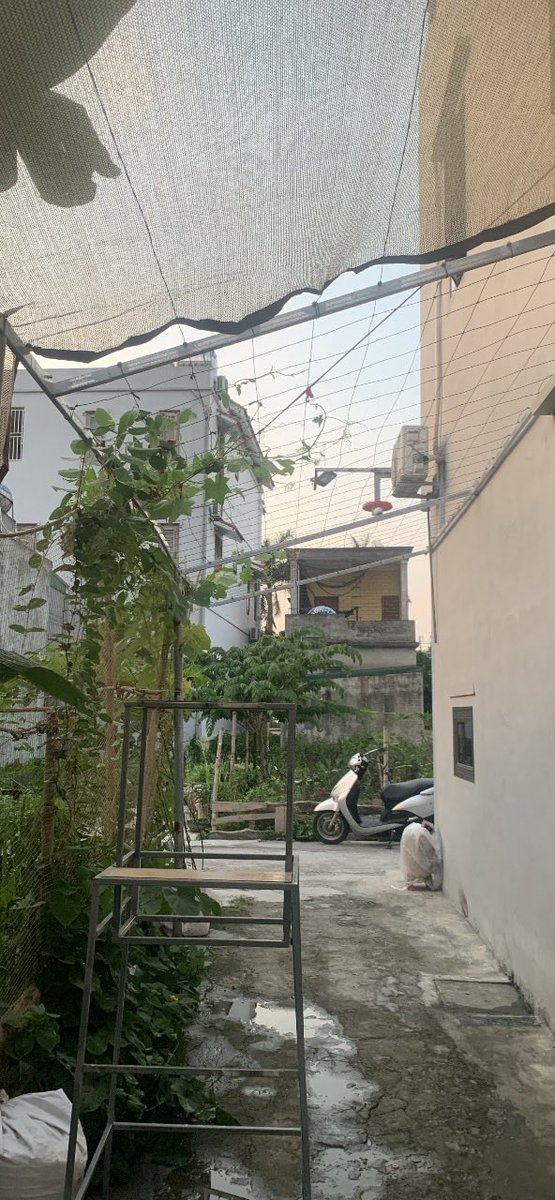 Hiền Nguyễn tweet media