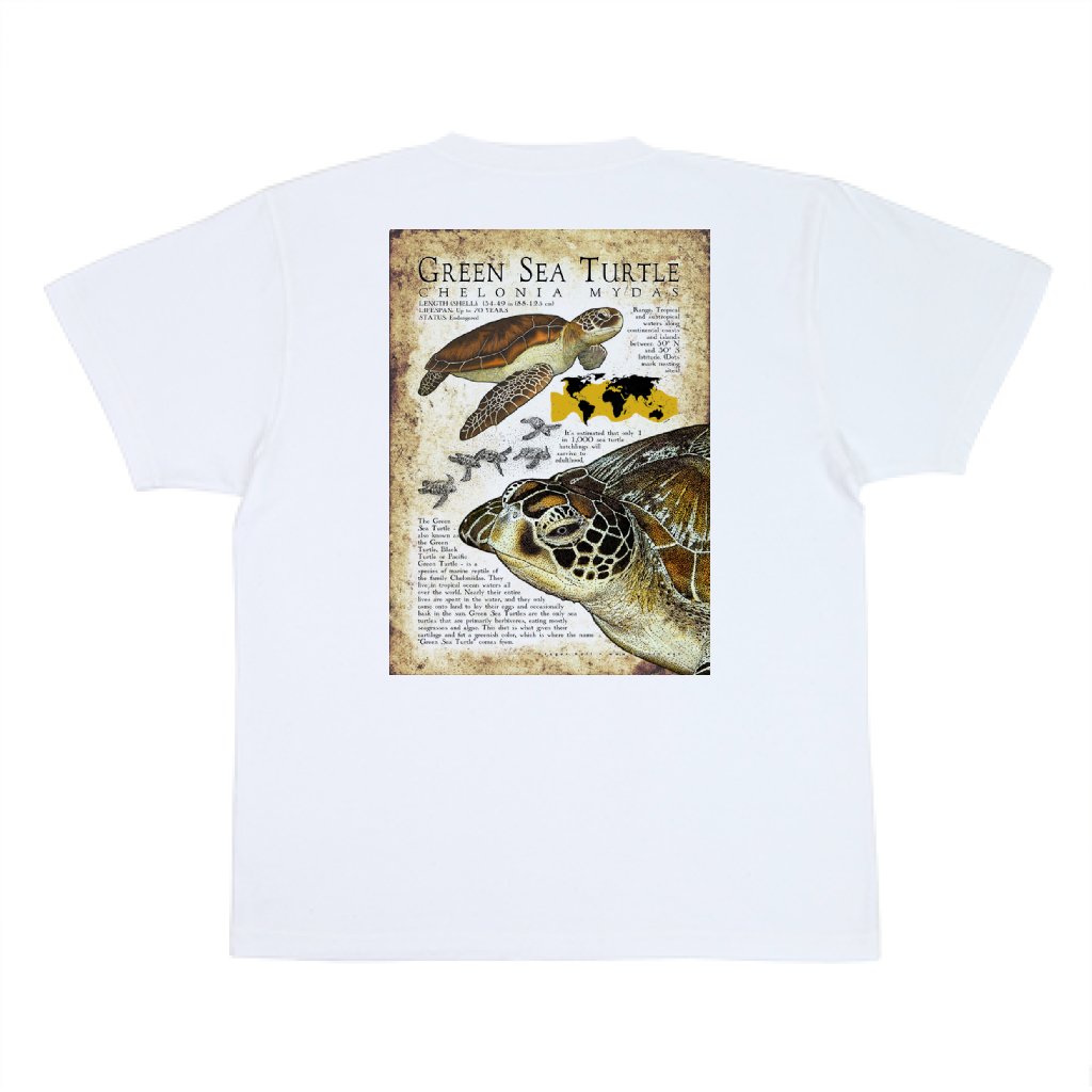 bronzegecko's tweet photo. このたび、新作のRogerHall氏のイラストのウミガメTシャツを道の駅紀宝町ウミガメ公園さまに納品させていただきました。
既にかなり売れているようで、ありがたい限りです。
ゴールデンウィークは是非「道の駅紀宝町ウミガメ公園」へ!
https://t.co/lsCodiZQ2b
#RogerHall
#burikura https://t.co/s7aOILPXvG