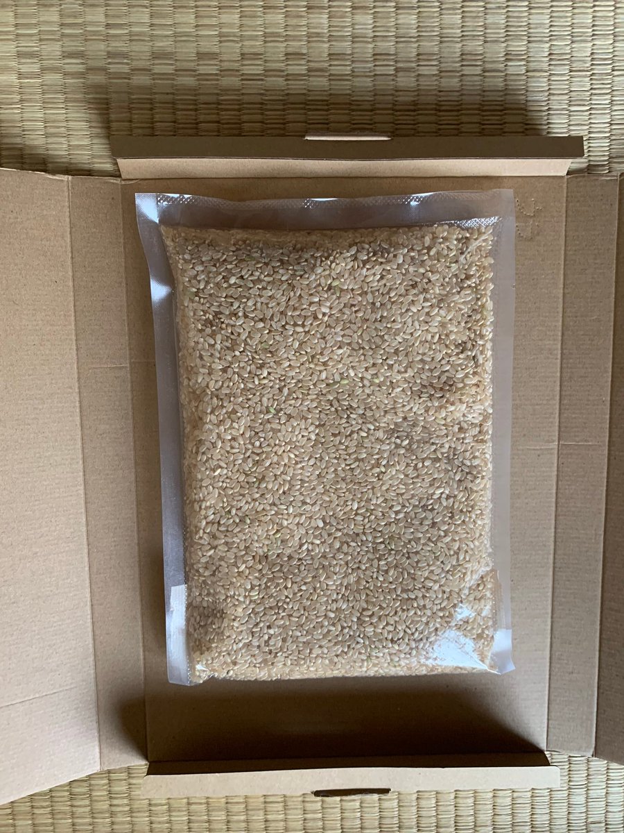 高知県宿毛市の米農家 シルク米 tweet media