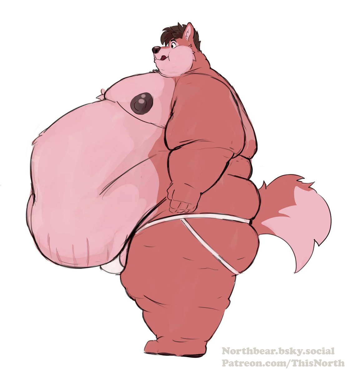 Big Bulk Bear tweet media