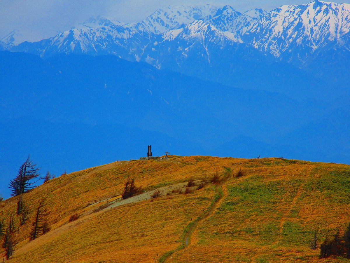 はし♪やん　(🎀*'▽'*)　🎵メタル名：Aku-METAL♪　BMI 17のオギツネ tweet media