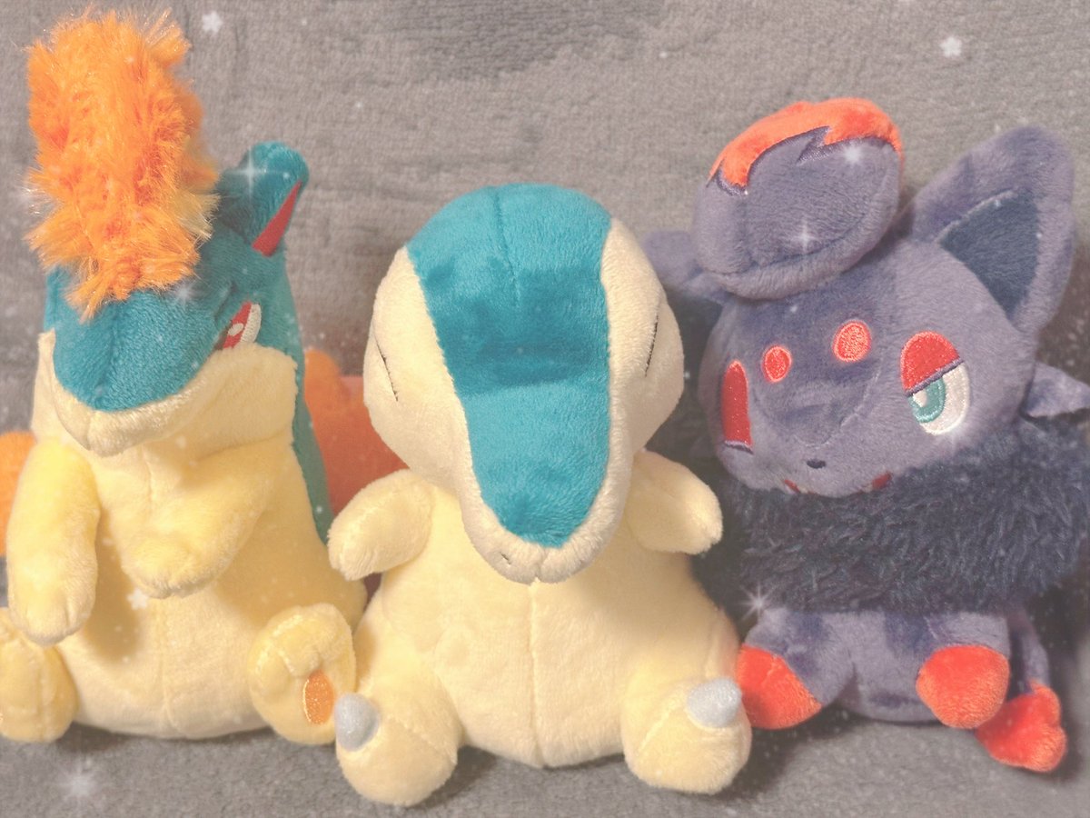 うちのｶﾜｲｺﾁｬﾝたちです💟
よろしくおねがいします😉😉😉