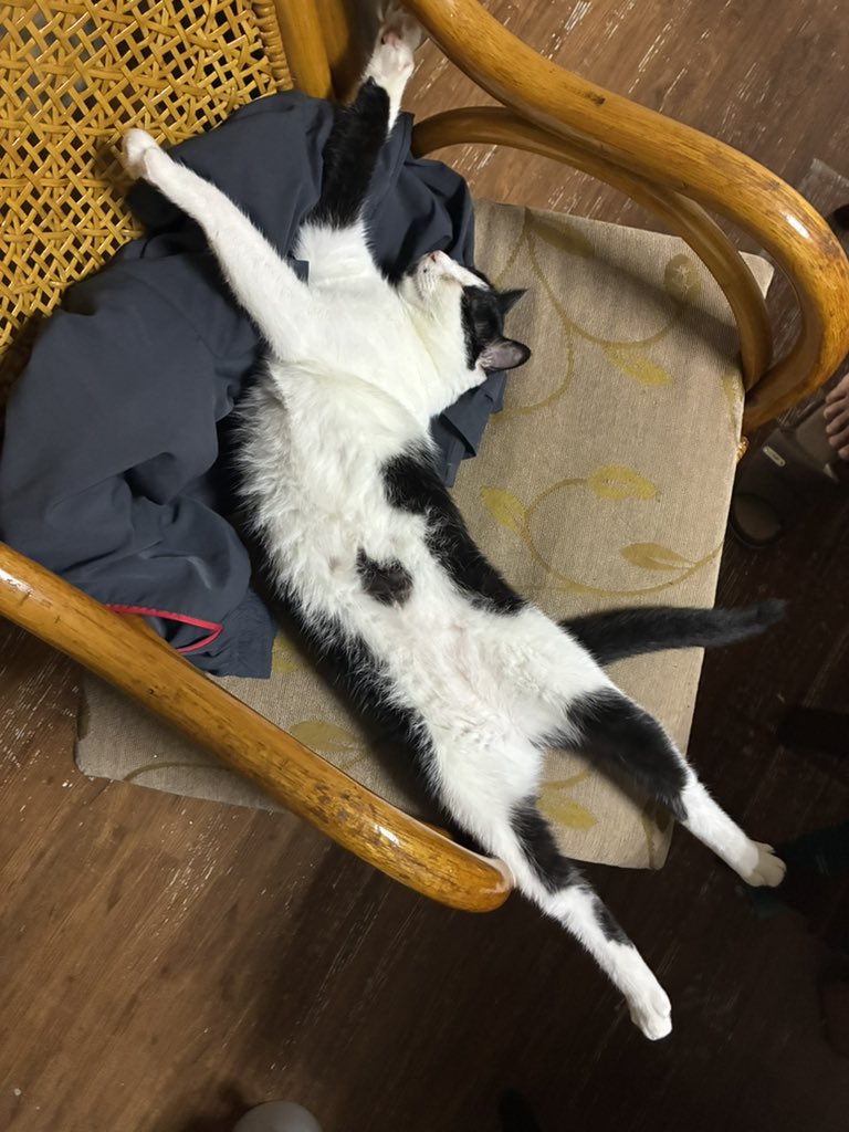 hz(エッゼ) tweet media