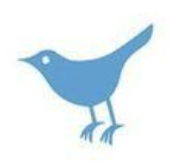 48jwles tweet media
