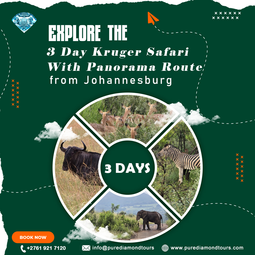 PDiamondTours's tweet photo. Get ready for Kruger sightings + Panorama Route wonders in just 3 days! Perfect safari adventure from Johannesburg. Secure your dates today at https://t.co/1H8gHqcd7V
For more details please click here https://t.co/YGTToDmAAG
#KrugerNationalPark #3DayKrugerSafari #PanoramaRoute https://t.co/8hezw2Pr0Q