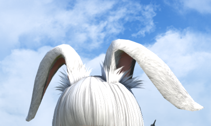 𝖬𝗂𝗐𝖺 🐰 tweet media