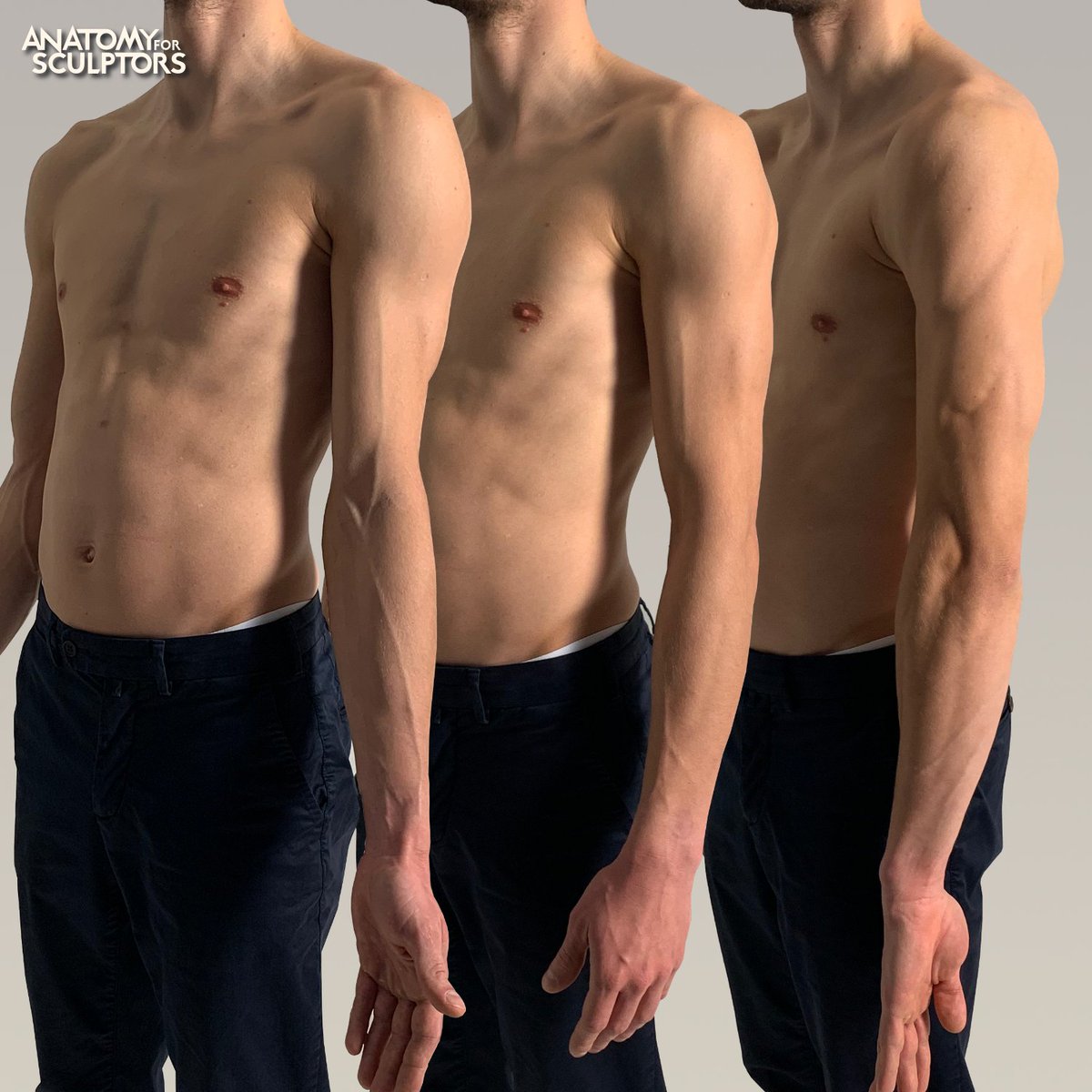 A4Sculptors's tweet image. Observe the form change during supination, semipronation, and forced pronation, which rotates the elbow  outward, engaging the shoulder's deltoid muscle. The dots mark the  bony landmarks for tracking muscle attachments across all positions. #anatomy #3dmodeling #characterdesign