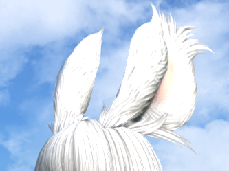 𝖬𝗂𝗐𝖺 🐰 tweet media