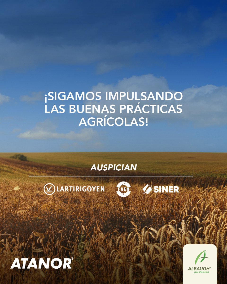 CIQyP tweet media