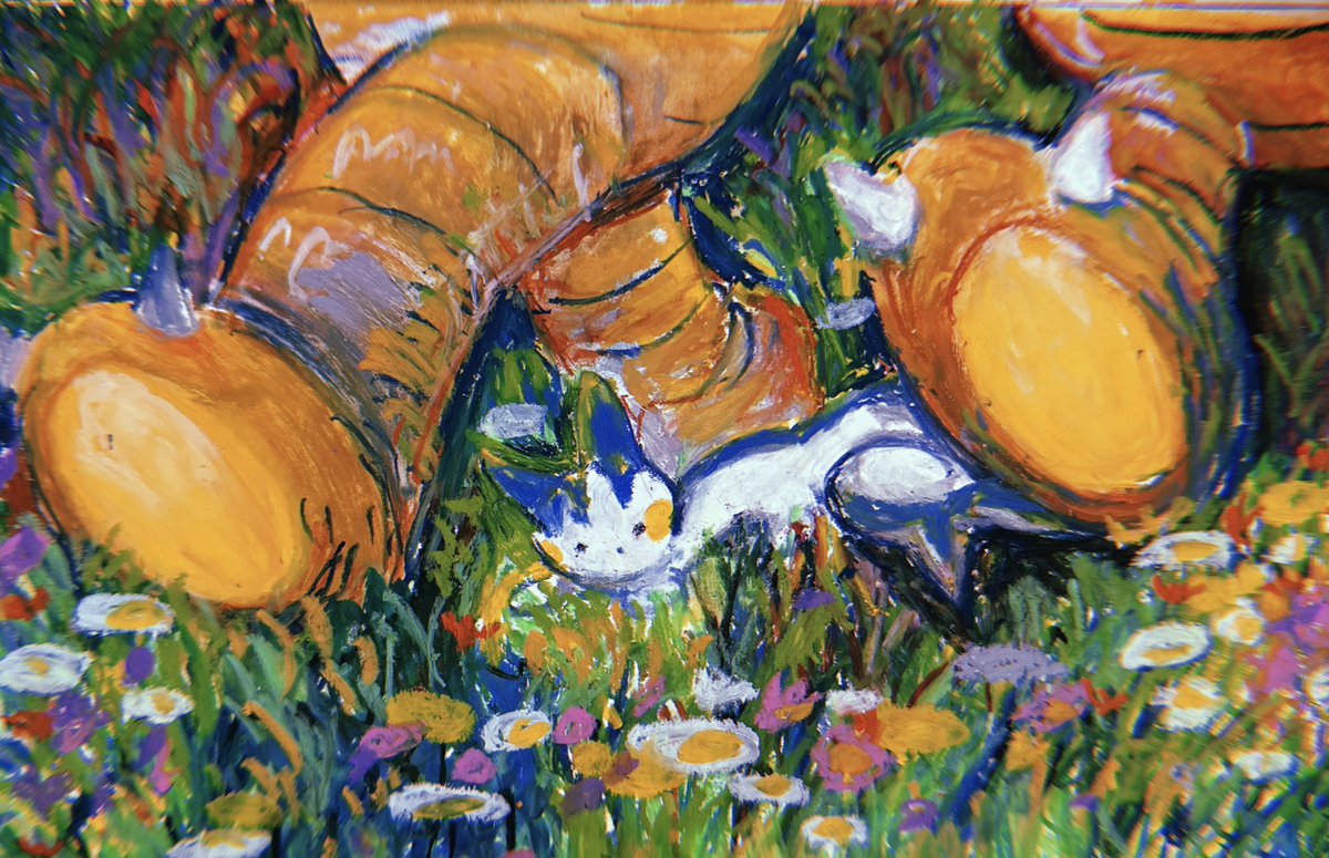 𝙂𝙖𝙥𝙖𝙤 tweet media