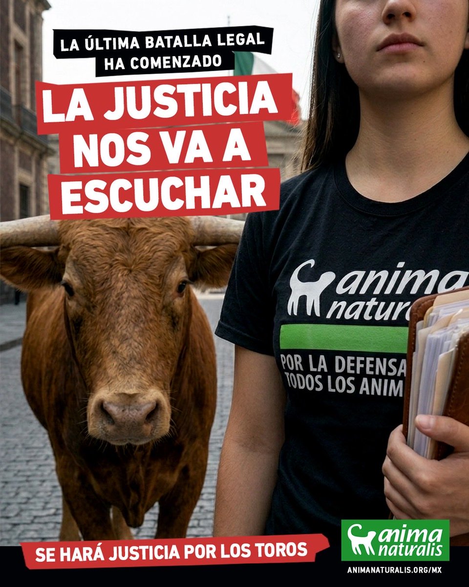 Leonora Esquivel tweet media