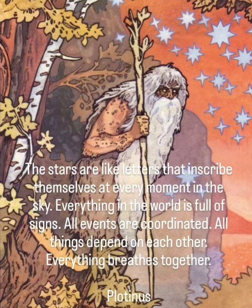 Forest_Mother tweet media