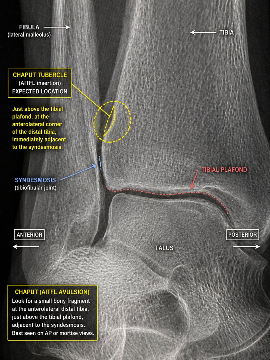 J Sam🌐 tweet media