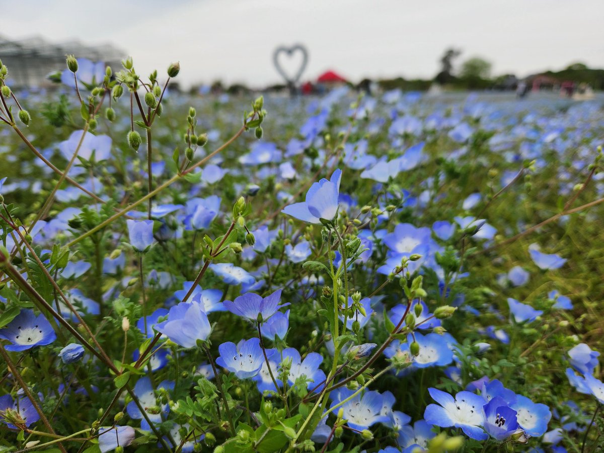 KOBA@カウルマン tweet media