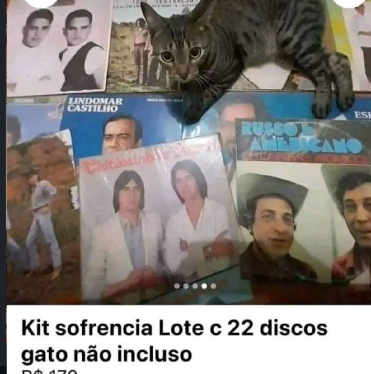 Shitpost só que de verdade tweet media
