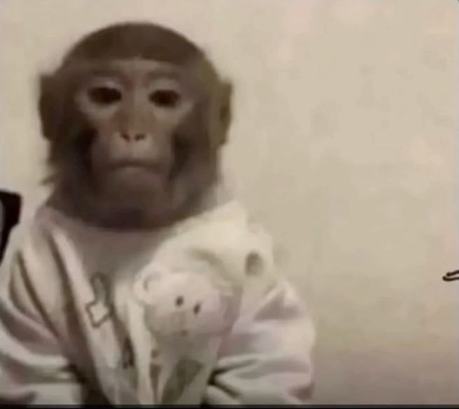 Aderomola tweet media