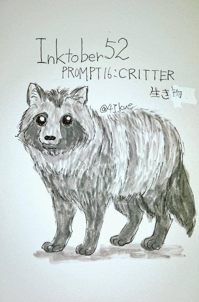 4Ikue's tweet image. INKTOBER52  PROMPT16:CRITTER、生き物
お題が生き物、動物全般、という訳で日本ではメジャーな生き物”タヌキ“を描きました。
#INKTOBER52 #inktober52critter  #zigcleancolorbrush  #pigma01 #たぬき