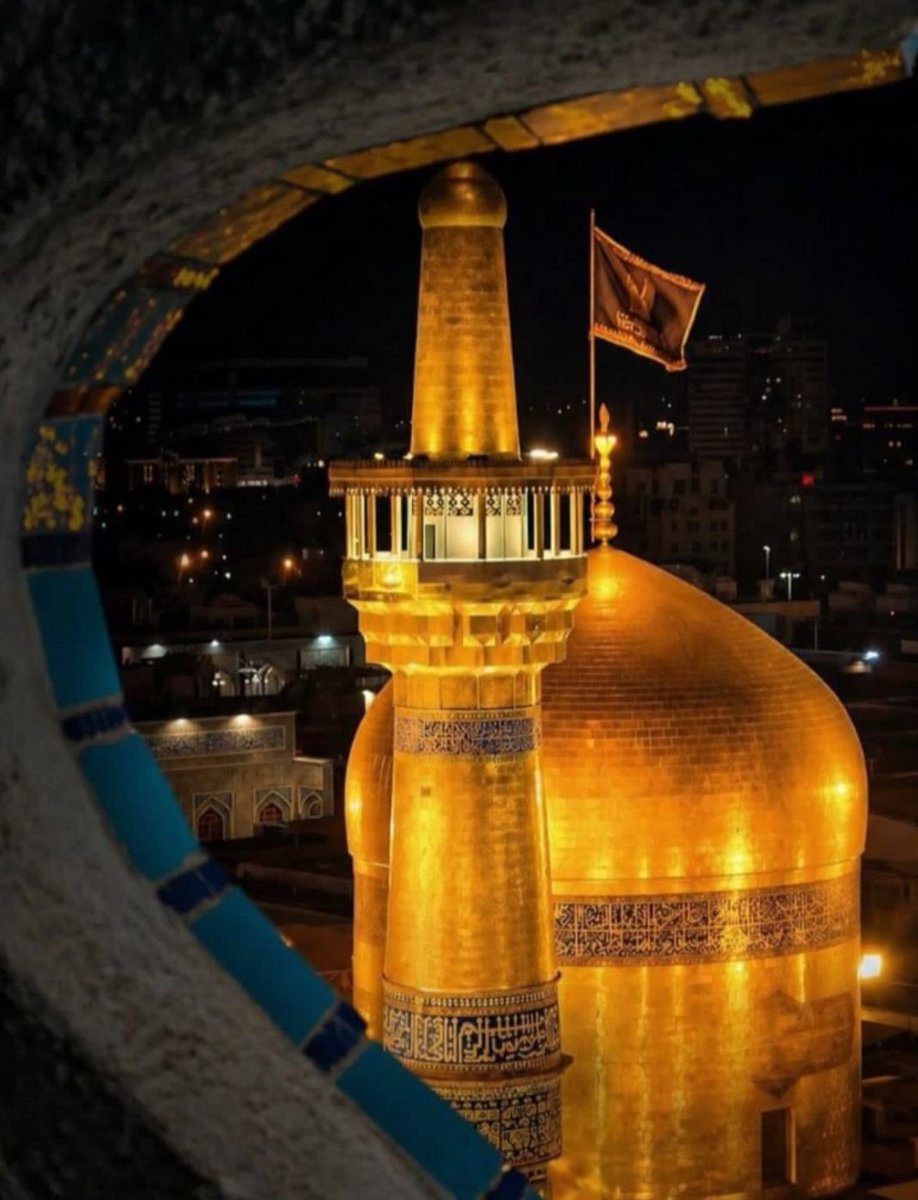 ساره افشار tweet media