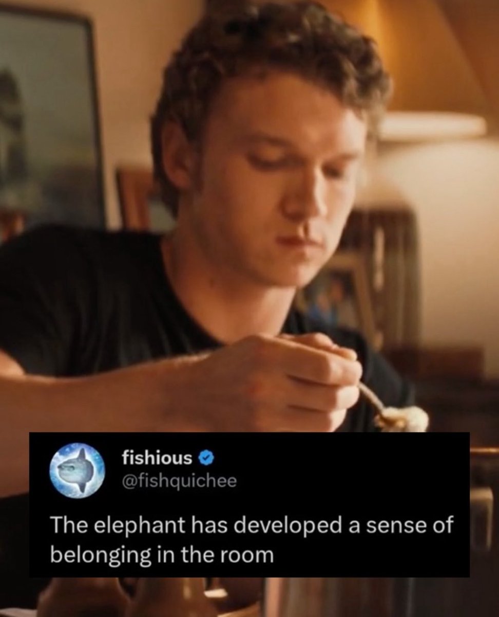 hollanov akgae tweet media