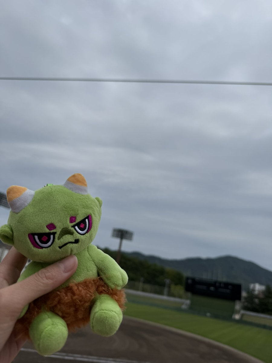 🥥ぶーこ / buko tweet media