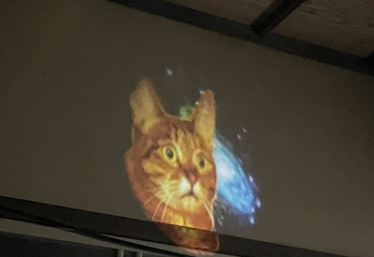 ガチャガチャで宇宙の猫っていうライト？があったから、やってみた。

家族で爆笑してる🤣
