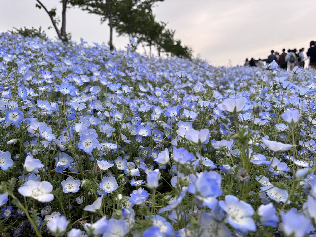 Nku___'s tweet photo. 遅くなったね、ヒンメル https://t.co/IivquY1hV3