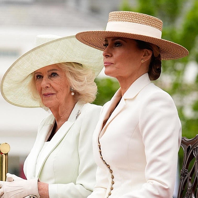 COMMENTARY ONLY MELANIA tweet media