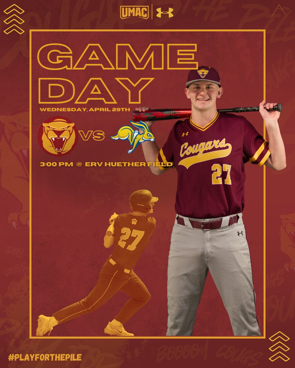 Minnesota Morris Baseball tweet media