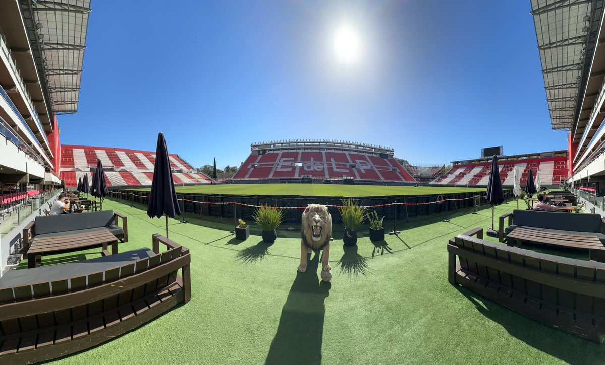 Leo José tweet media