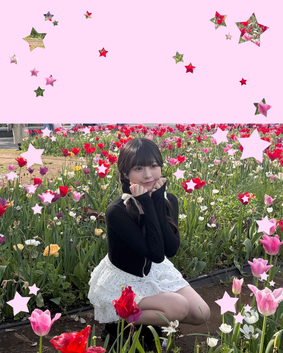 青島もも tweet media