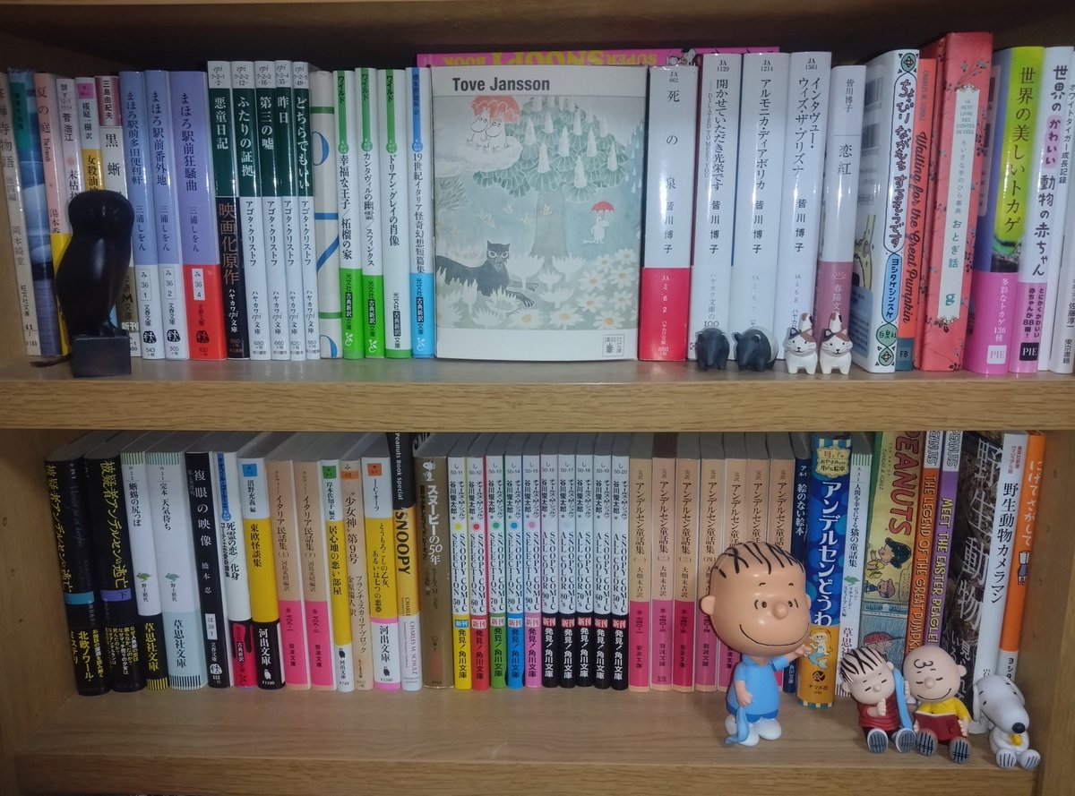 kanata7171's tweet photo. 活字オタクなポストもここでしていこうかと思う（🙇）ので本棚を少しさらしておきます📚
（もっと濃い本は奥の棚に）

#本棚 https://t.co/DnFRXbZoTg
