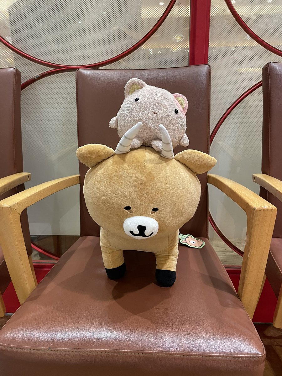 にゃにゃ Post by にゃにゃせ🐈 on X: 生活🌿