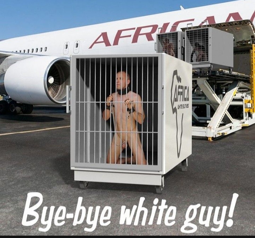 reine noire tweet media