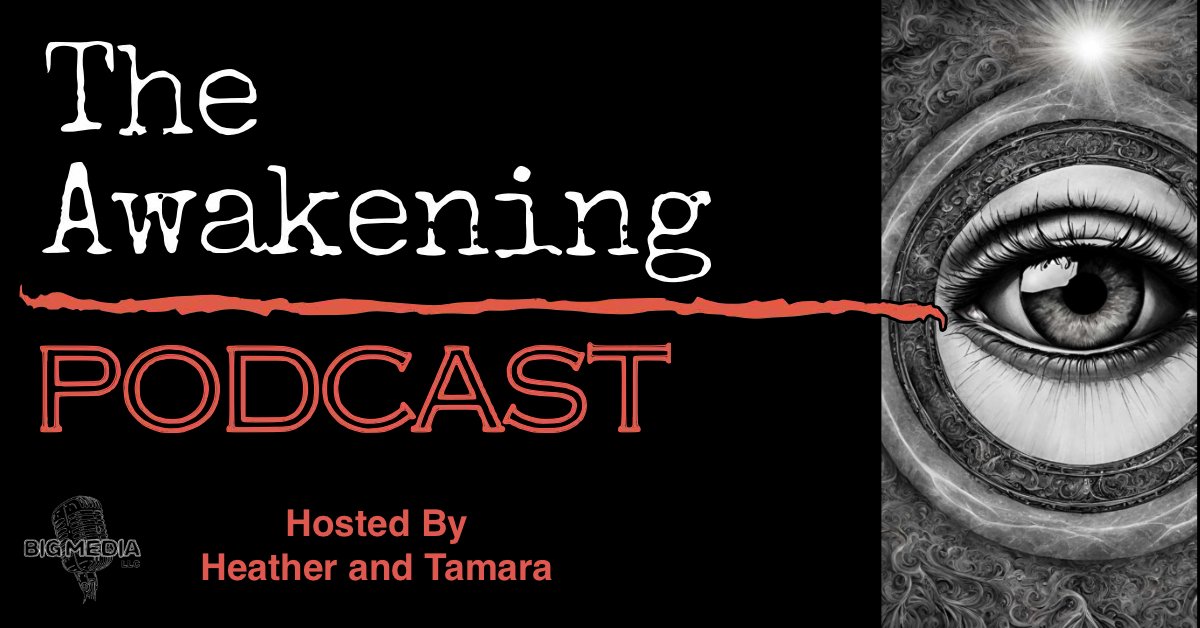 All About Nothing Podcast - US tweet media