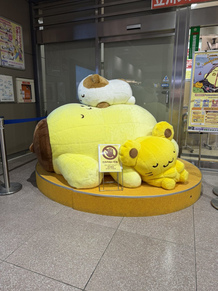 りゅうあ🦦 tweet media