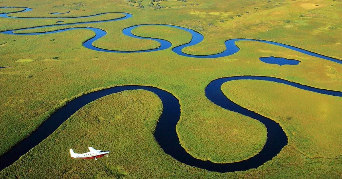 AfricaFirsts's tweet photo. You're seeing the world's largest inland delta, the Okavango Delta in Botswana 🇧🇼 https://t.co/8MT3Cu45Yd