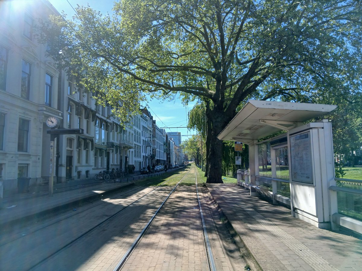 eiku_suyama's tweet image. Rotterdam