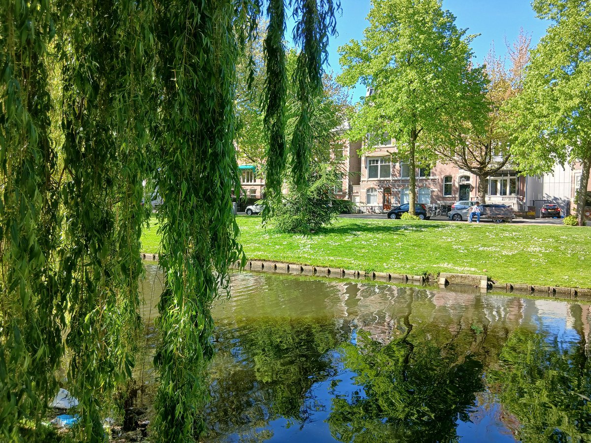 eiku_suyama's tweet image. Rotterdam
